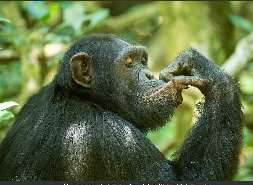 Lake Manyara